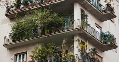Zielony ogród na balkonie w bloku - inspiracje i rozwiązania